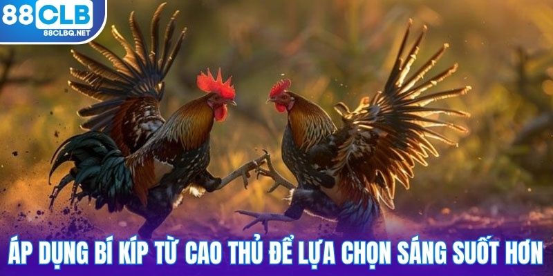 ap dung bi kip tu cao thu de lua chon sang suot hon Áp dụng bí kíp từ cao thủ để lựa chọn sáng suốt hơn