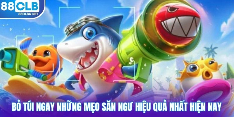 bo tui ngay nhung meo san ngu hieu qua nhat hien nay Bỏ túi ngay những mẹo săn ngư hiệu quả nhất hiện nay