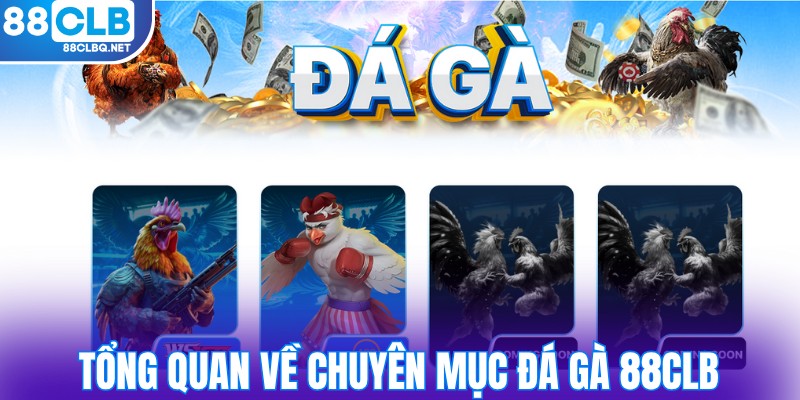 doi net so luoc ve chuyen muc da ga 88clb Đôi nét sơ lược về chuyên mục đá gà 88CLB