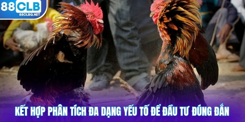 ket hop phan tich da dang yeu to de dau tu dung dan Kết hợp phân tích đa dạng yếu tố để đầu tư đúng đắn