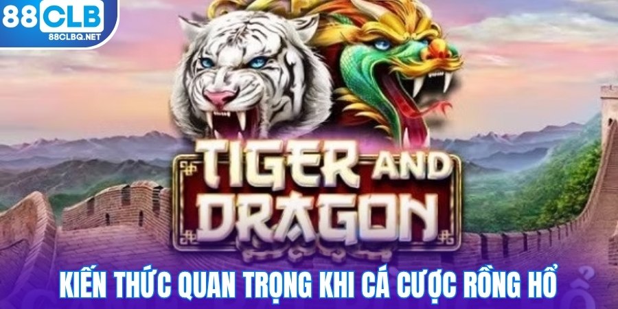 Kiến thức quan trọng khi cá cược rồng hổ