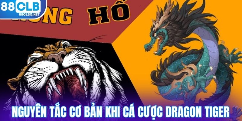 Nguyên tắc cơ bản khi cá cược dragon tiger